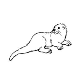 Disegno da colorare: Lontra (Animali) #10735 - Pagine da Colorare Stampabili Gratuite