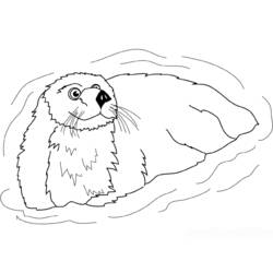Disegno da colorare: Lontra (Animali) #10762 - Pagine da Colorare Stampabili Gratuite