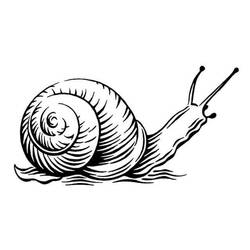 Disegno da colorare: Lumaca (Animali) #177400 - Pagine da Colorare Stampabili Gratuite