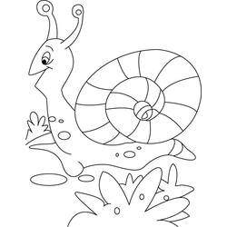 Disegno da colorare: Lumaca (Animali) #6590 - Pagine da Colorare Stampabili Gratuite