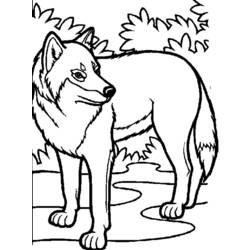 Disegno da colorare: Lupo (Animali) #10448 - Pagine da Colorare Stampabili Gratuite