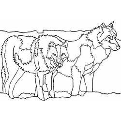 Disegno da colorare: Lupo (Animali) #10535 - Pagine da Colorare Stampabili Gratuite