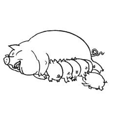 Disegno da colorare: Maiale (Animali) #3599 - Pagine da Colorare Stampabili Gratuite