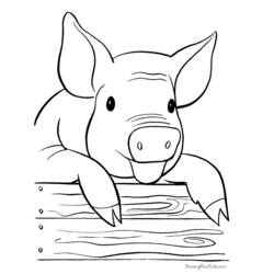 Disegno da colorare: Maiale (Animali) #3605 - Pagine da Colorare Stampabili Gratuite