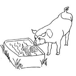 Disegno da colorare: Maiale (Animali) #3630 - Pagine da Colorare Stampabili Gratuite