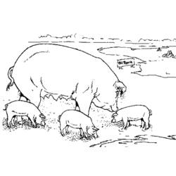 Disegno da colorare: Maiale (Animali) #3661 - Pagine da Colorare Stampabili Gratuite
