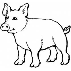 Disegno da colorare: Maiale (Animali) #3671 - Pagine da Colorare Stampabili Gratuite