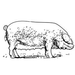 Disegno da colorare: Maiale (Animali) #3733 - Pagine da Colorare Stampabili Gratuite