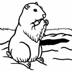 Disegno da colorare: Marmotta (Animali) #10955 - Pagine da Colorare Stampabili Gratuite