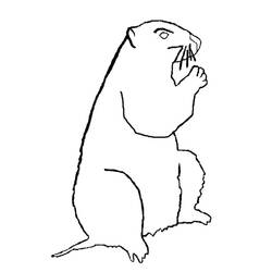 Disegno da colorare: Marmotta (Animali) #10960 - Pagine da Colorare Stampabili Gratuite