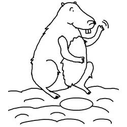 Disegno da colorare: Marmotta (Animali) #10968 - Pagine da Colorare Stampabili Gratuite