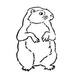Disegno da colorare: Marmotta (Animali) #10985 - Pagine da Colorare Stampabili Gratuite