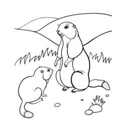 Disegno da colorare: Marmotta (Animali) #10990 - Pagine da Colorare Stampabili Gratuite