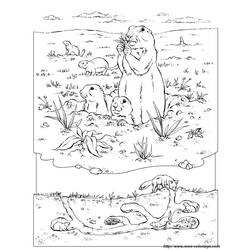 Disegno da colorare: Marmotta (Animali) #11051 - Pagine da Colorare Stampabili Gratuite