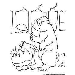 Disegno da colorare: Marmotta (Animali) #11057 - Pagine da Colorare Stampabili Gratuite