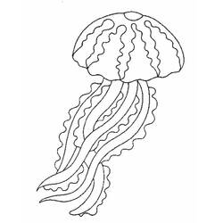 Disegno da colorare: Medusa (Animali) #20380 - Pagine da Colorare Stampabili Gratuite