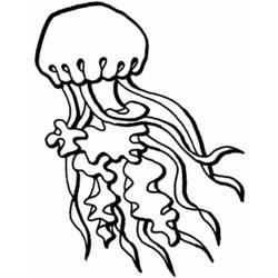 Disegno da colorare: Medusa (Animali) #20390 - Pagine da Colorare Stampabili Gratuite