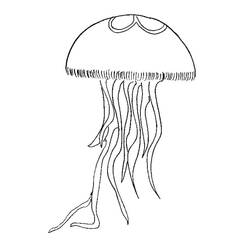 Disegno da colorare: Medusa (Animali) #20399 - Pagine da Colorare Stampabili Gratuite