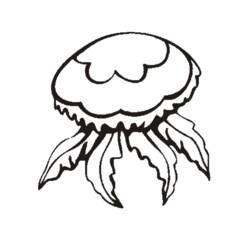 Disegno da colorare: Medusa (Animali) #20402 - Pagine da Colorare Stampabili Gratuite