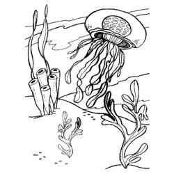 Disegno da colorare: Medusa (Animali) #20407 - Pagine da Colorare Stampabili Gratuite