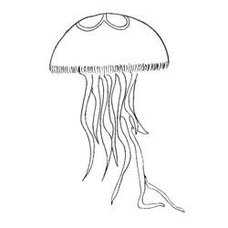 Disegno da colorare: Medusa (Animali) #20416 - Pagine da Colorare Stampabili Gratuite