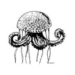 Disegno da colorare: Medusa (Animali) #20435 - Pagine da Colorare Stampabili Gratuite