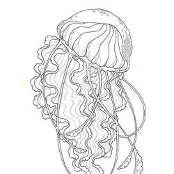 Disegno da colorare: Medusa (Animali) #20463 - Pagine da Colorare Stampabili Gratuite