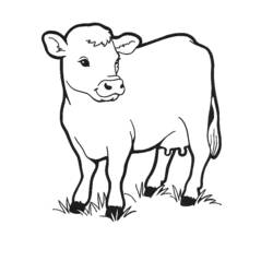 Disegno da colorare: Mucca (Animali) #13189 - Pagine da Colorare Stampabili Gratuite
