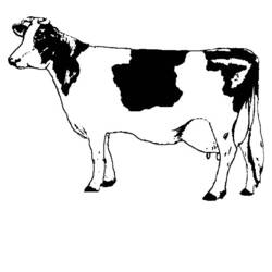 Disegno da colorare: Mucca (Animali) #13196 - Pagine da Colorare Stampabili Gratuite