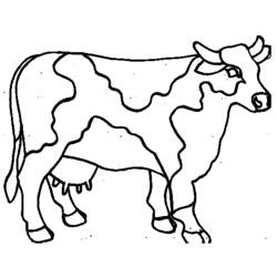 Disegno da colorare: Mucca (Animali) #13208 - Pagine da Colorare Stampabili Gratuite