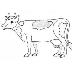 Disegno da colorare: Mucca (Animali) #13227 - Pagine da Colorare Stampabili Gratuite