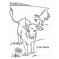 Disegno da colorare: Mucca (Animali) #13229 - Pagine da Colorare Stampabili Gratuite