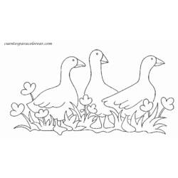 Disegno da colorare: Oca (Animali) #11676 - Pagine da Colorare Stampabili Gratuite