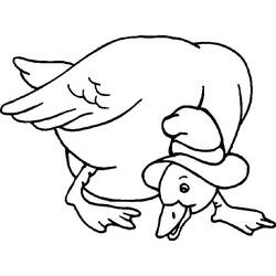 Disegno da colorare: Oca (Animali) #11689 - Pagine da Colorare Stampabili Gratuite