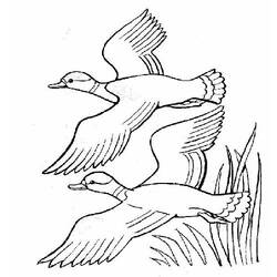 Disegno da colorare: Oca (Animali) #11700 - Pagine da Colorare Stampabili Gratuite