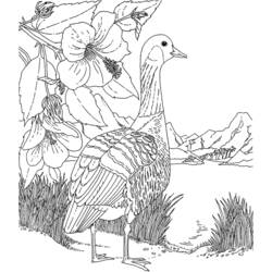 Disegno da colorare: Oca (Animali) #11746 - Pagine da Colorare Stampabili Gratuite