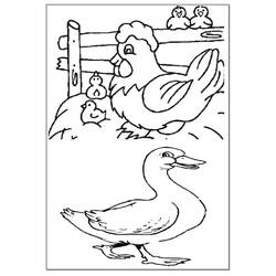 Disegno da colorare: Oca (Animali) #11787 - Pagine da Colorare Stampabili Gratuite