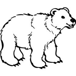 Disegno da colorare: Orso (Animali) #12229 - Pagine da Colorare Stampabili Gratuite