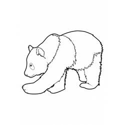 Disegno da colorare: Panda (Animali) #12452 - Pagine da Colorare Stampabili Gratuite