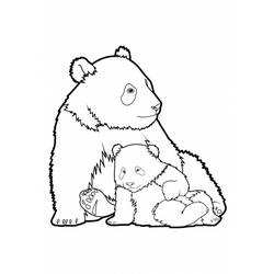 Disegno da colorare: Panda (Animali) #12454 - Pagine da Colorare Stampabili Gratuite