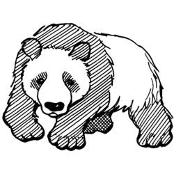 Disegno da colorare: Panda (Animali) #12462 - Pagine da Colorare Stampabili Gratuite