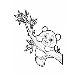 Disegno da colorare: Panda (Animali) #12476 - Pagine da Colorare Stampabili Gratuite