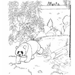 Disegno da colorare: Panda (Animali) #12486 - Pagine da Colorare Stampabili Gratuite