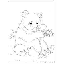 Disegno da colorare: Panda (Animali) #12488 - Pagine da Colorare Stampabili Gratuite