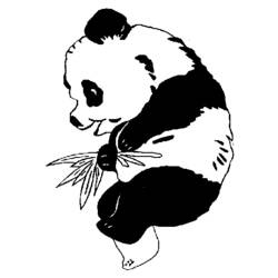 Disegno da colorare: Panda (Animali) #12499 - Pagine da Colorare Stampabili Gratuite