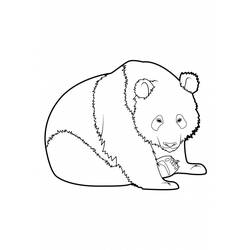 Disegno da colorare: Panda (Animali) #12509 - Pagine da Colorare Stampabili Gratuite