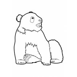 Disegno da colorare: Panda (Animali) #12514 - Pagine da Colorare Stampabili Gratuite