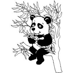 Disegno da colorare: Panda (Animali) #12610 - Pagine da Colorare Stampabili Gratuite