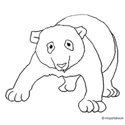 Disegno da colorare: Panda (Animali) #12621 - Pagine da Colorare Stampabili Gratuite