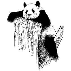 Disegno da colorare: Panda (Animali) #12625 - Pagine da Colorare Stampabili Gratuite